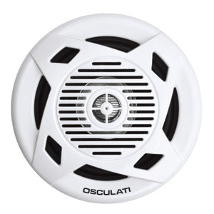 Casse stereo doppio cono osculati -