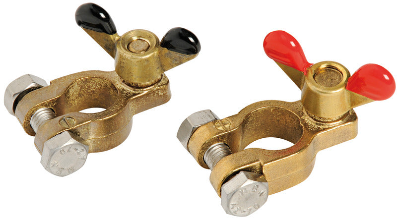 Coppia di morsetti in ottone per batterie - 1438600