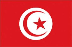 Bandiera stoffa tunisia 20x30 - 3750